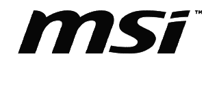 MSI